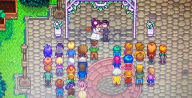 Las próximas opciones románticas de Stardew Valley podrían separar a Robin y Demetrius