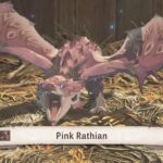 Cómo aumentar la población de Rathian en MH Stories 3 (Un paso hacia la búsqueda de la conservación)