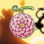 5 frutas del diablo más fuertes que la fruta de Robin