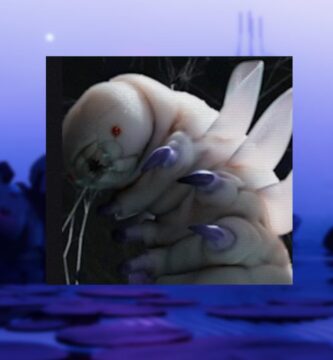 Presentamos el tutorial de Sekiguchi en Marathon