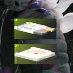 Guía de Parasitismo de Maratón 1