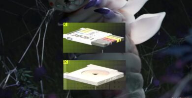 Guía de Parasitismo de Maratón 1