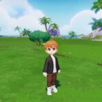 Qué hacer en una isla privada en Heartopia