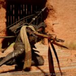 Cómo vencer a Samura el Vigilante de la Arena en Crimson Desert