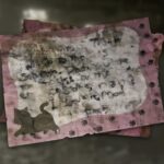 Todas las cartas de 1998 ubicaciones en RE9