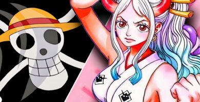 Oda se burla de un futuro miembro de los Piratas de Sombrero de Paja en el último vol. de SBS. 114