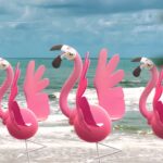 Pokémon GO revela el debut de Pokémon Gen 8 para el evento de abril