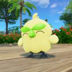 Los fanáticos de Pokémon ya están obsesionados con los vientos y las olas Starter Browt