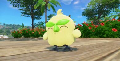 Los fanáticos de Pokémon ya están obsesionados con los vientos y las olas Starter Browt