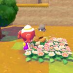 Cómo aumentar el rango de entrenador en Pokopia