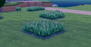 Todos los Pokémon de hábitat de hierba alta en Pokopia