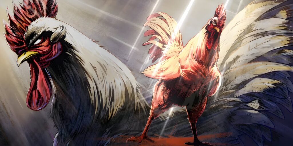 Avance de primavera de 2026: Rooster Fighter