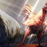 Avance de primavera de 2026: Rooster Fighter