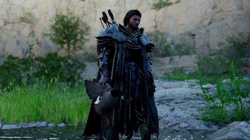 Cómo atrapar y transportar pájaros en el desierto carmesí