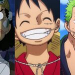 Cada Sombrero de Paja, clasificado por utilidad