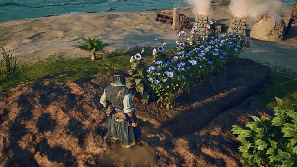 Cómo plantar semillas en rosa de los vientos