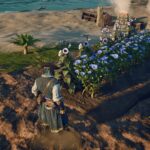 Cómo plantar semillas en rosa de los vientos