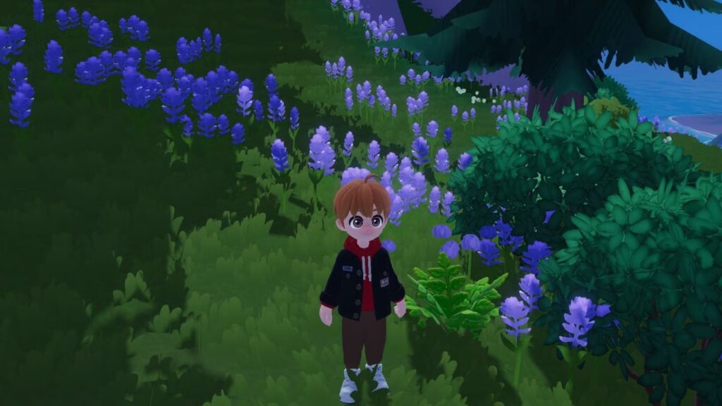 Dónde encontrar todos los Fiddleheads en Heartopia