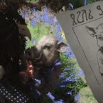 Dónde encontrar el objetivo de recompensa de Wolfe en Crimson Desert