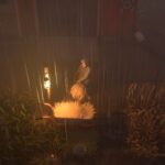 El nuevo juego es básicamente el Anti-Stardew Valley