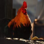 Los jugadores de ARC Raiders no deberían dormir con la nueva actualización de Scrappy