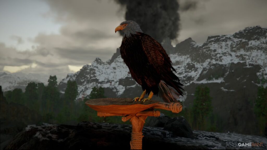 Cómo conseguir las mascotas gerifalte y águila en Crimson Desert