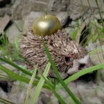 Cómo conseguir rápidamente manzanas doradas en Crimson Desert