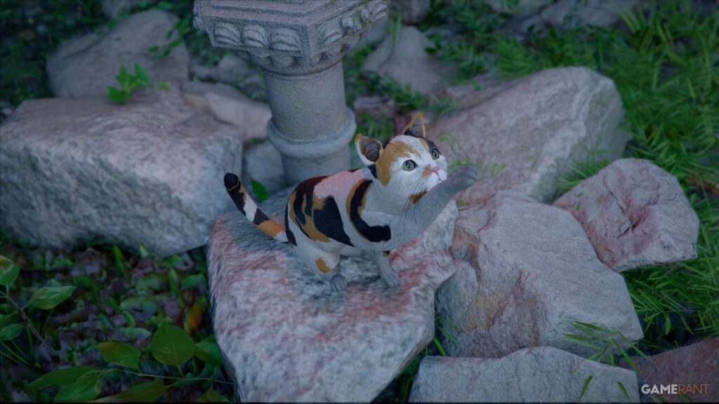 Ubicaciones de gatitos (y comida favorita) en Crimson Desert