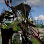 Cómo conseguir madera impecable en el desierto carmesí