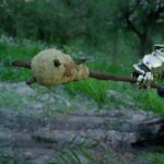 Cómo obtener y utilizar el OP Beehive Club en Crimson Desert