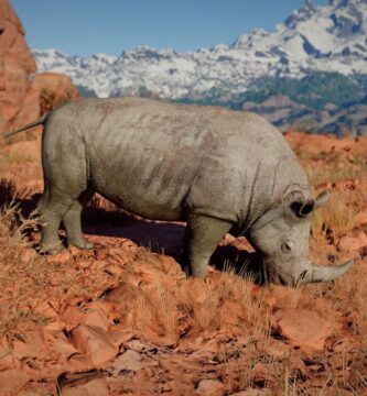 Cómo cultivar pieles gruesas en el desierto carmesí