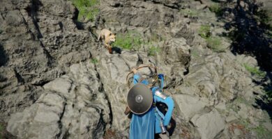 Cómo cultivar piel fina en el desierto carmesí