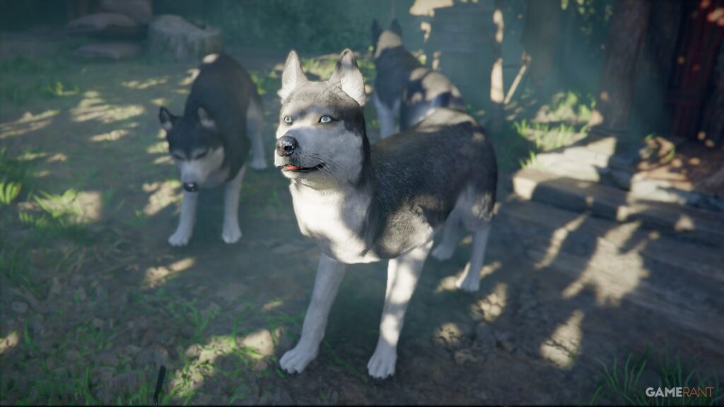 Ubicaciones de husky (y comida favorita) en Crimson Desert