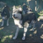 Ubicaciones de husky (y comida favorita) en Crimson Desert