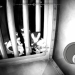 Mouse PI para alquiler Glugging del recorrido profundo (Fart Harbor)