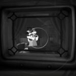 Tutorial de Mouse PI para alquiler entre Alpha y Omega – Esposa infiel