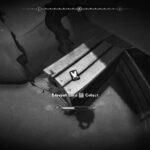 Mouse PI para alquilar Cambozo de agua salada - Wallop Bay Collectibles