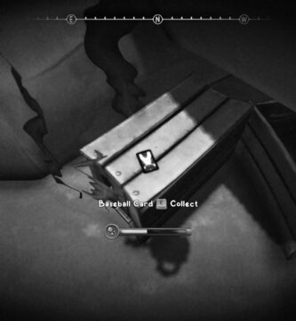 Mouse PI para alquilar Cambozo de agua salada - Wallop Bay Collectibles