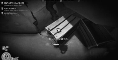 Mouse PI para alquilar Cambozo de agua salada - Wallop Bay Collectibles