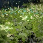 Cómo conseguir hoja de palmar en el desierto carmesí