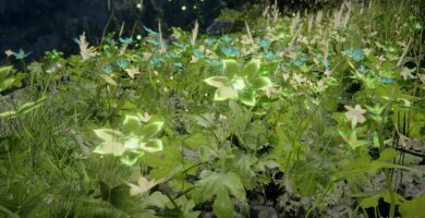 Cómo conseguir hoja de palmar en el desierto carmesí