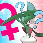 La situación de Gallade femenina de Pokémon Champions se volvió aún más confusa