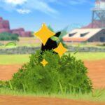 Cómo conseguir Pokémon brillantes y títulos especiales