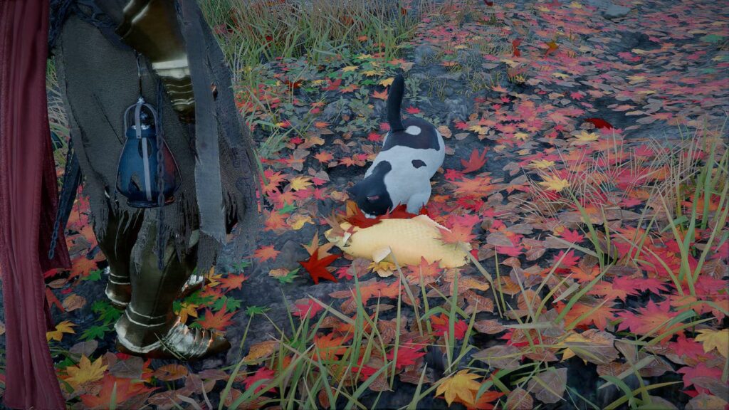 Cómo domesticar instantáneamente a cualquier gato en Crimson Desert