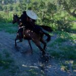 Cómo conseguir herraduras Steelheart en Crimson Desert (mejora de resistencia del caballo)