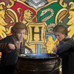Hogwarts Legacy 2 necesita finalmente hacer que tu casa importe