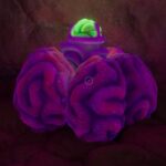 Ubicación de la bolsa de raiones ácidas en Subnautica 2