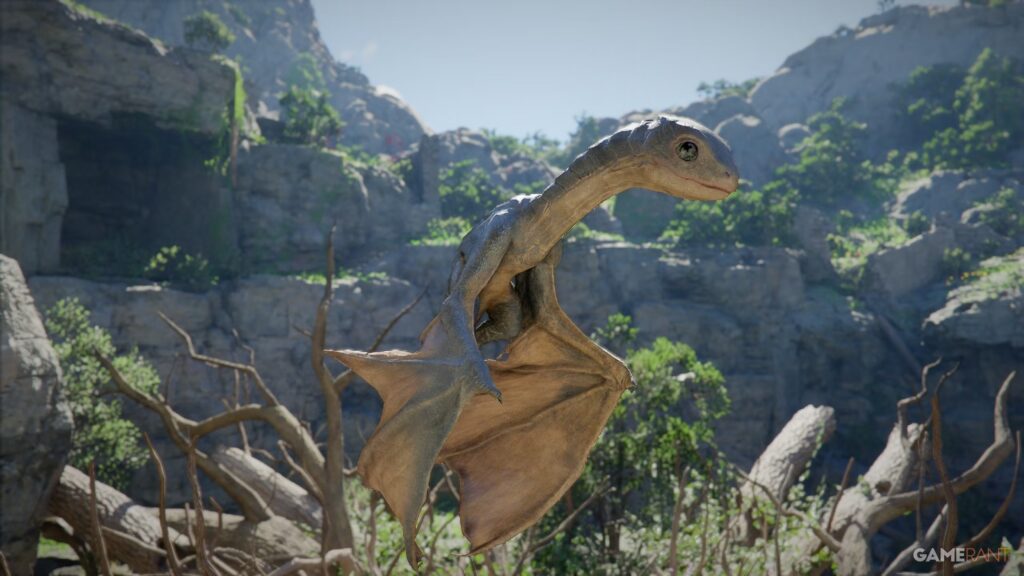 Ubicación y guía de domesticación de Crimson Desert Baby Wyvern