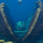 ¿Qué hay dentro de la ubicación de la Gran Mandíbula en Subnautica 2?