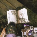 Ubicaciones de archivos de casos EDZ en Destiny 2